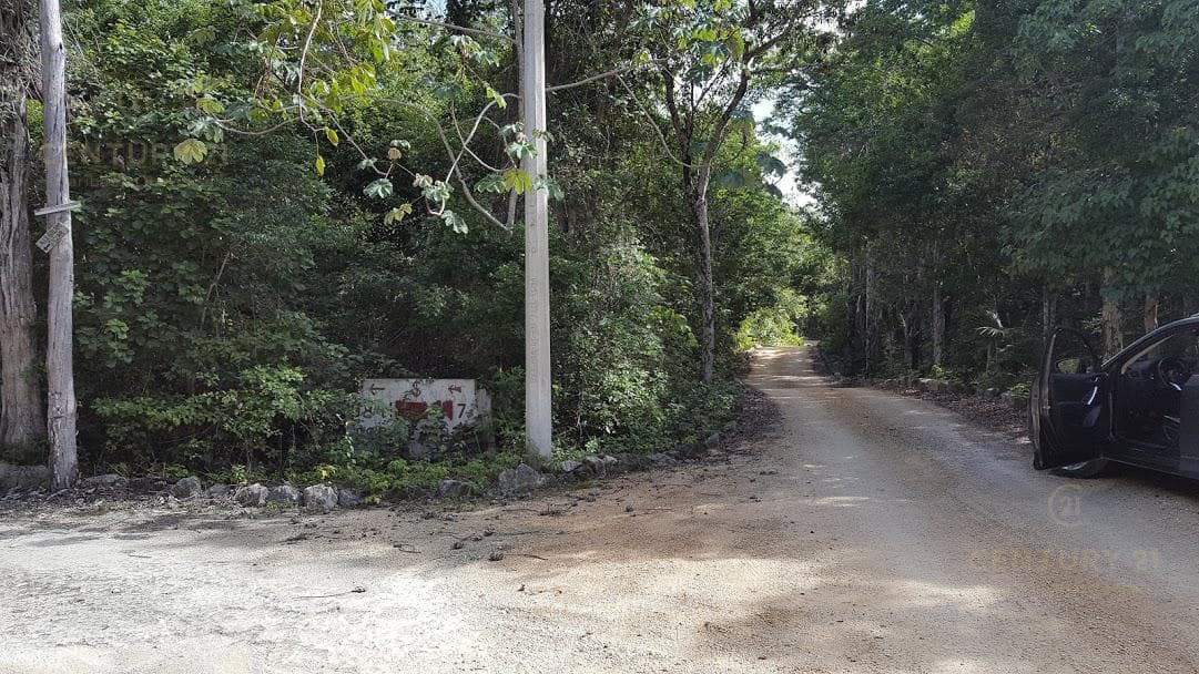 Excellent 1-hectare lot within the Riviera Maya gated community P2780