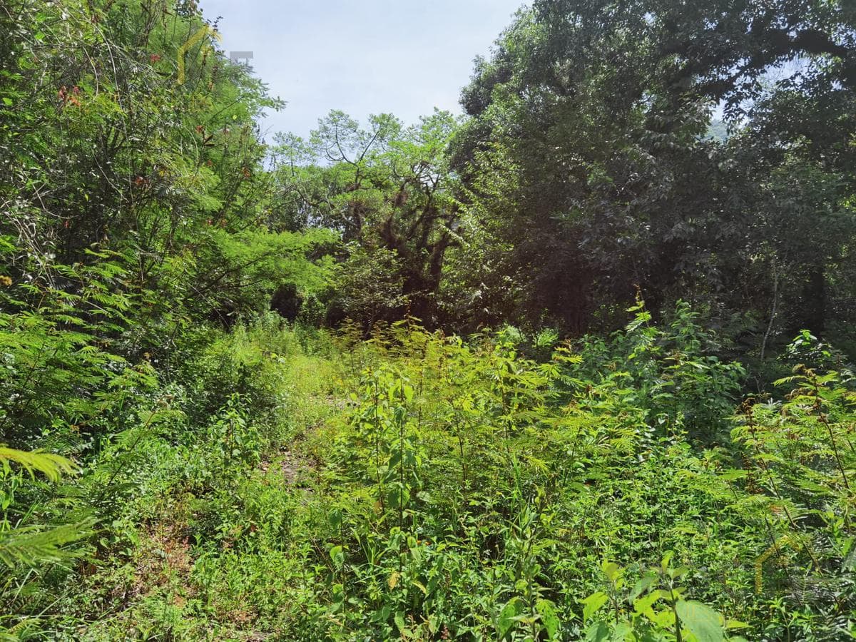 Land for sale in Coacoatintla, Veracruz, at KM 9, with stone quarrying operations