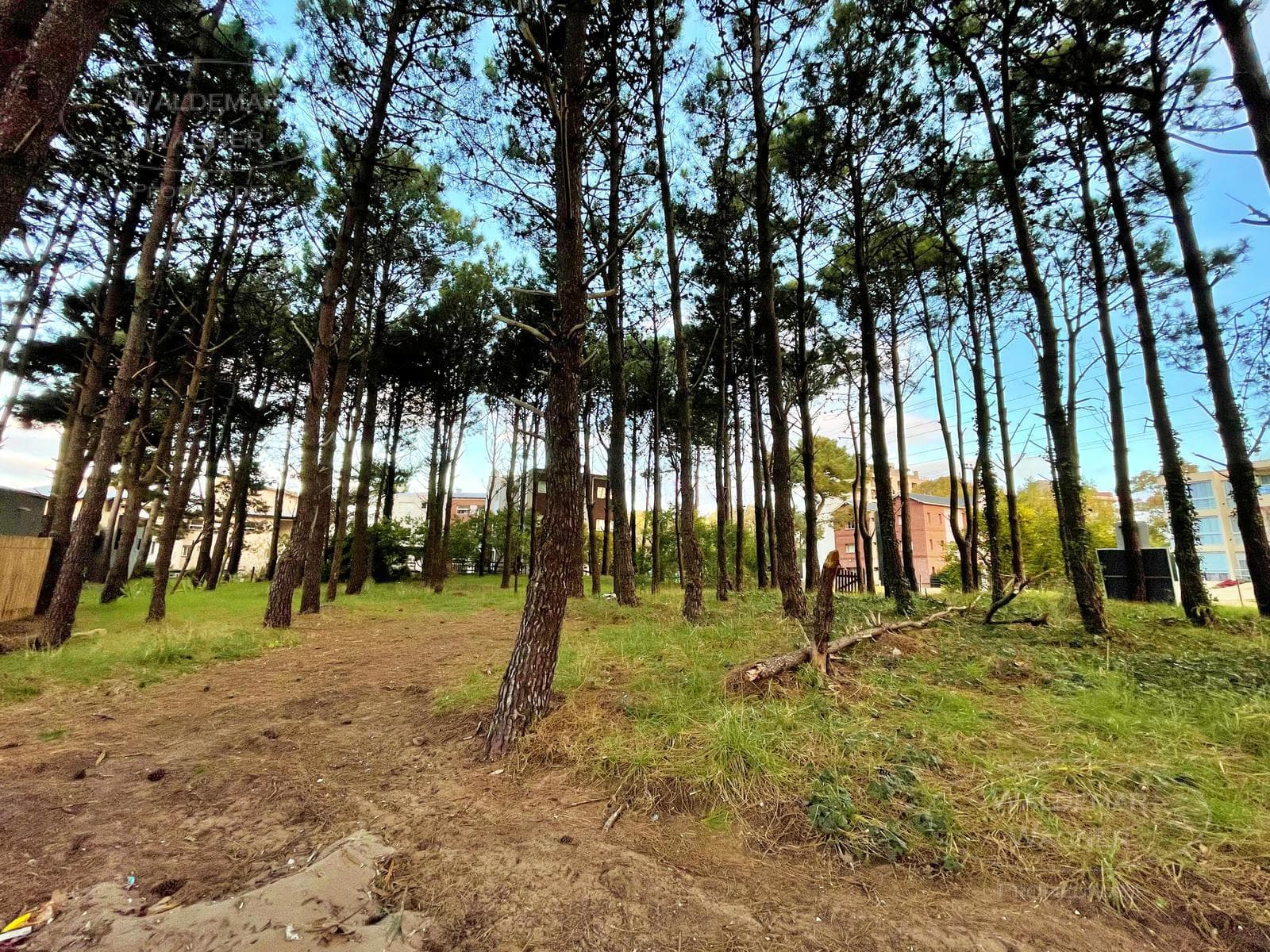 Vacant Lot, 1,163 m² - Downtown Pinamar