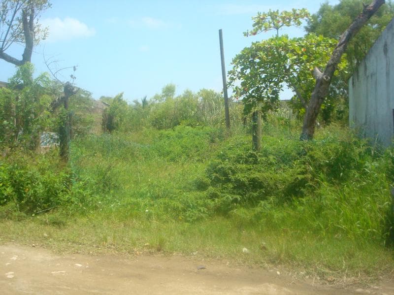 Land for Sale Outside Coatzacoalcos