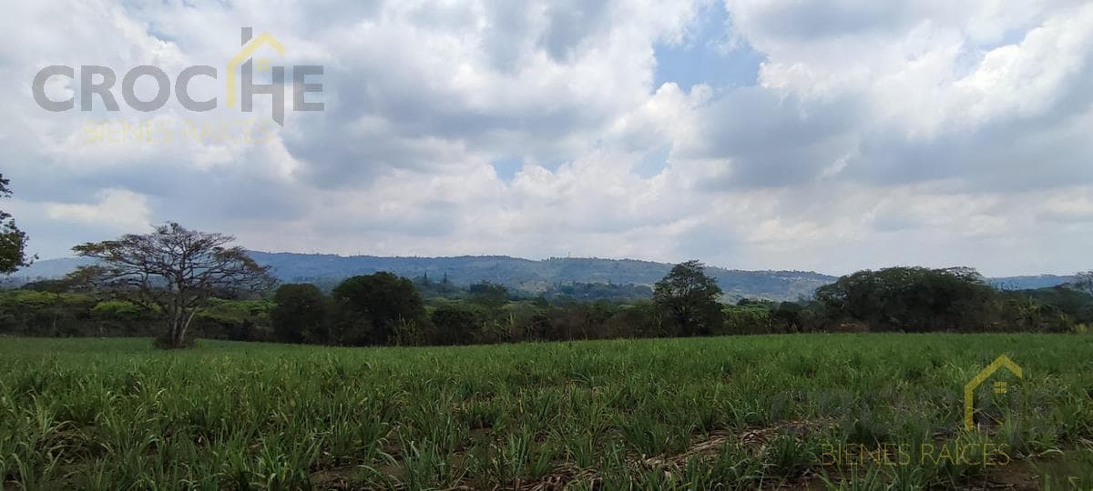 Land for Sale in Pacho Nuevo: 4 Hectares