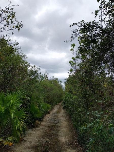 Large Lot with a Cenote for Sale in Leona Vicario C1939