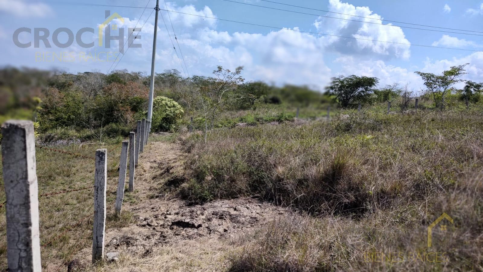 Land in Land for sale in El Chico, Emiliano Zapata municipality