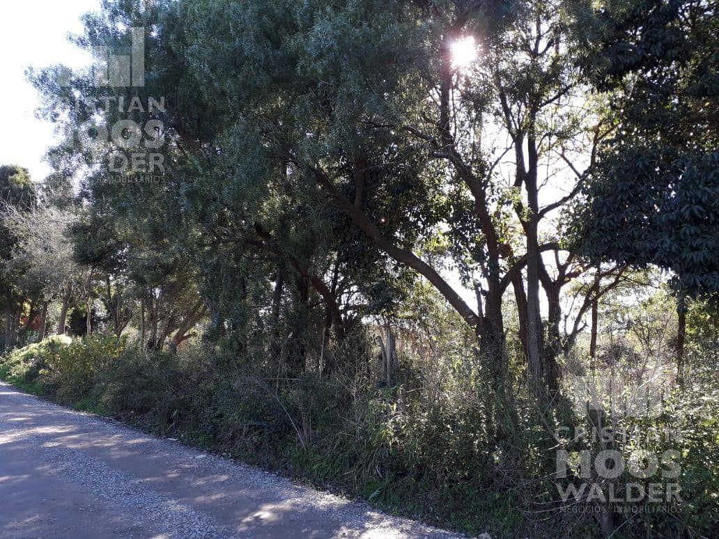 Lot for sale at Old Man and Los Cerros, Loma Verde