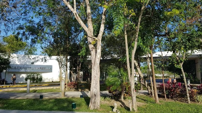 NEW HOUSE FOR RENT IN MARSEILLE - P2758