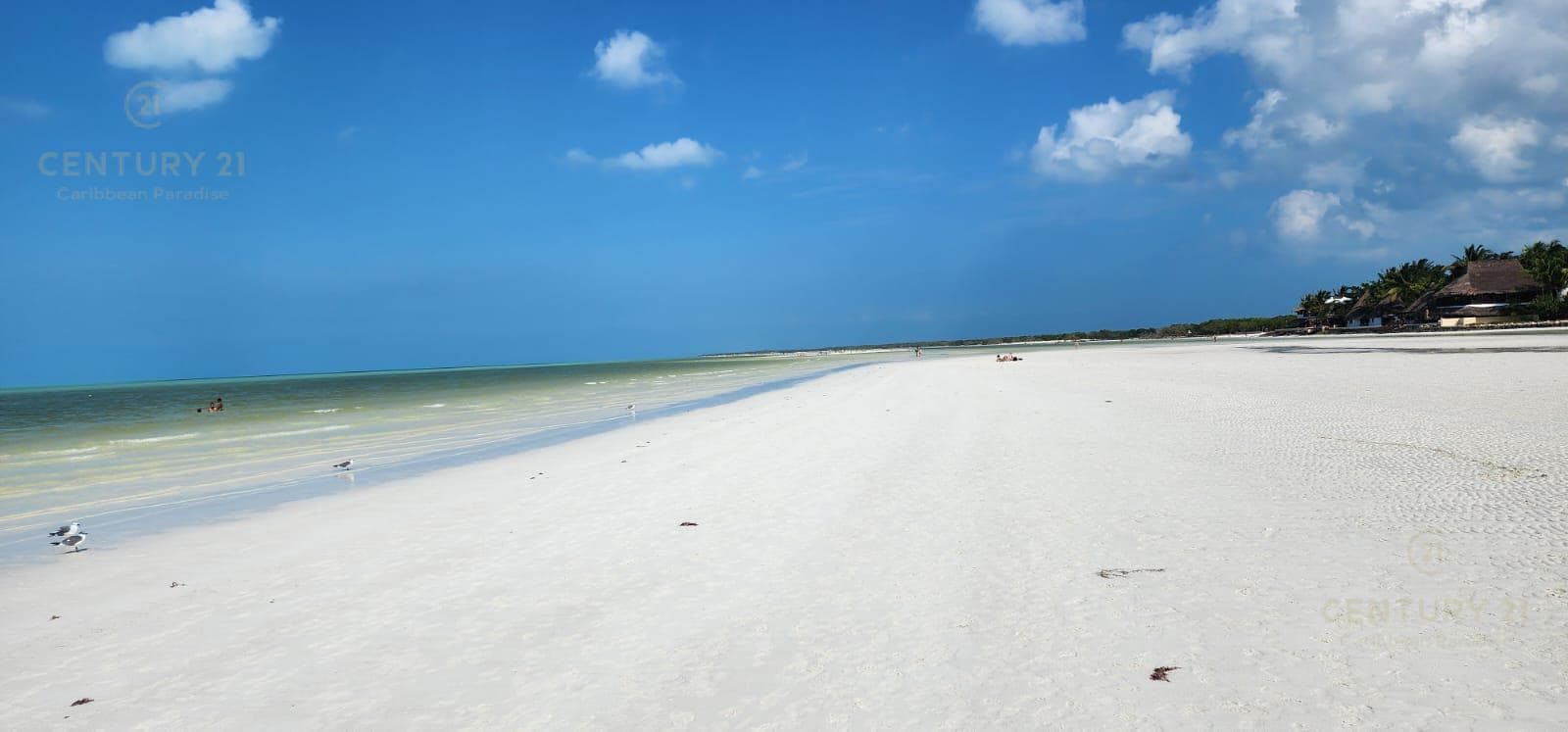 Commercial Lot for Sale in Holbox | Develop Eco-Luxury Villas in the Mexican Caribbean | P4068