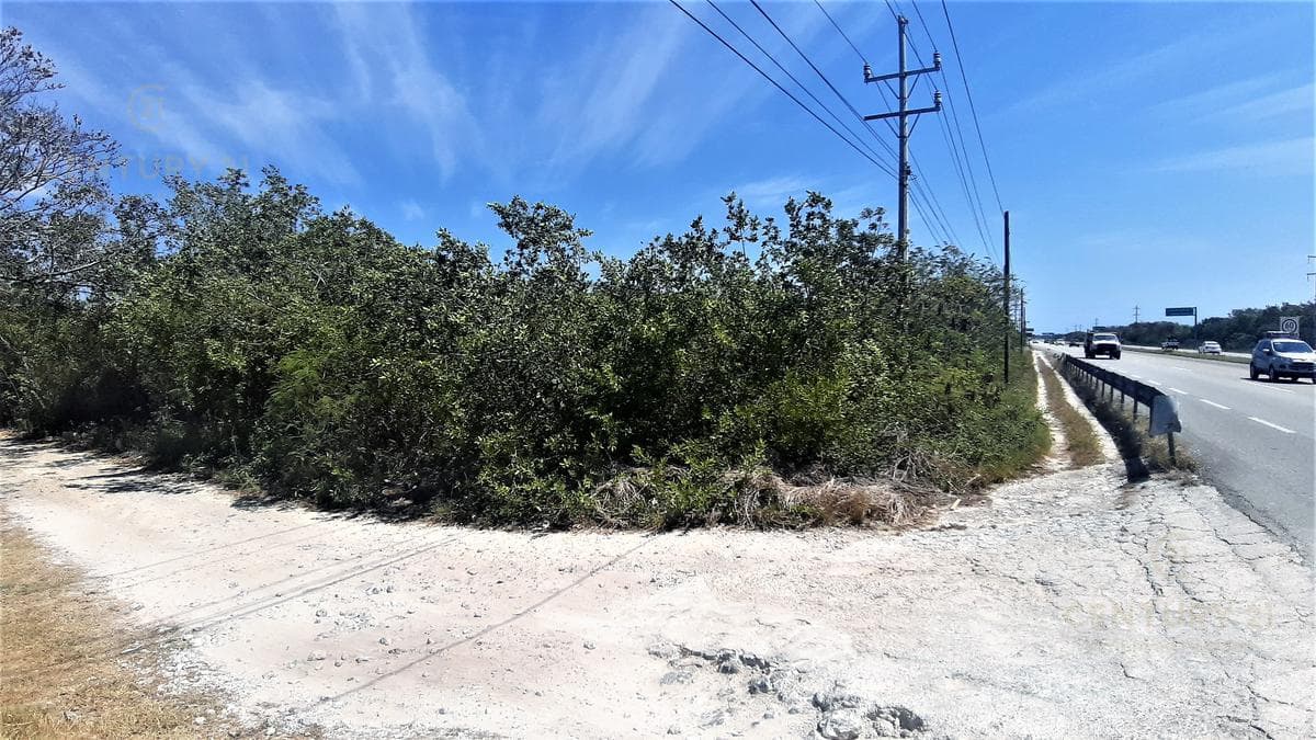 LAND FOR SALE ON THE TULUM-PLAYA HIGHWAY P3529