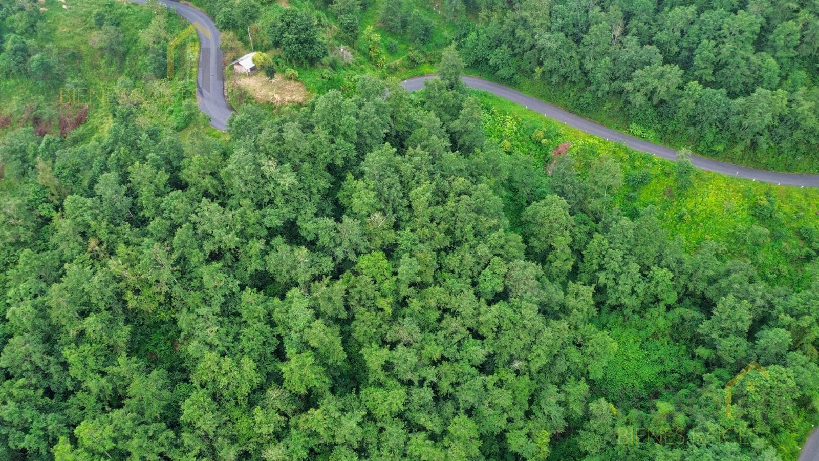 Land for Sale in Xico Viejo: 12,603.11 m² with a view of the mountains