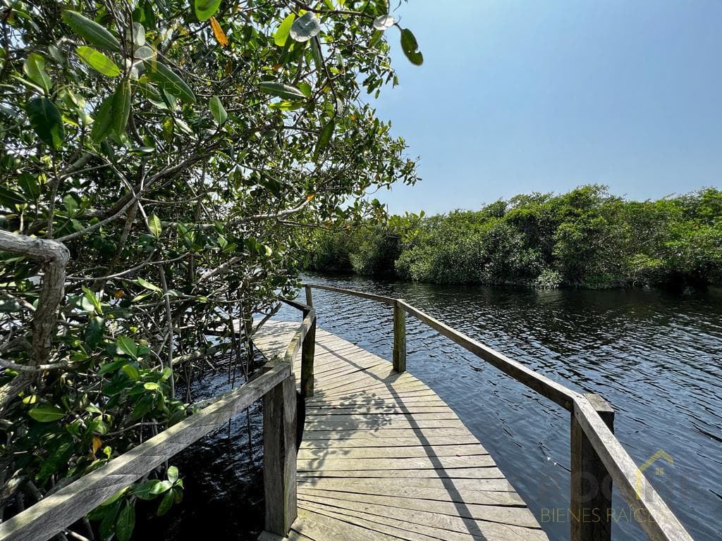 Land for Sale in the Costa Esmeralda Beach Area, Veracruz, Riachuelos