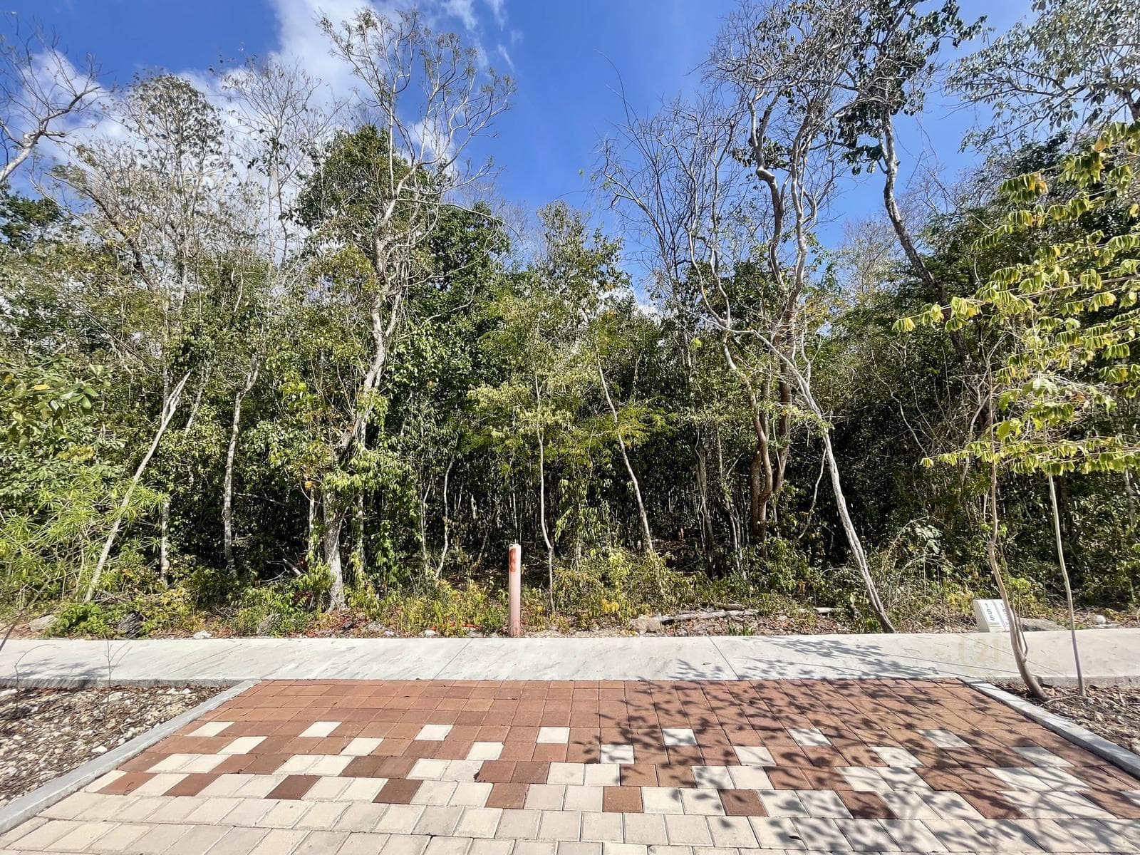 Residential Lot for Sale | Mayakoba Country Club | Invest Surrounded by Nature and Golf | P4159