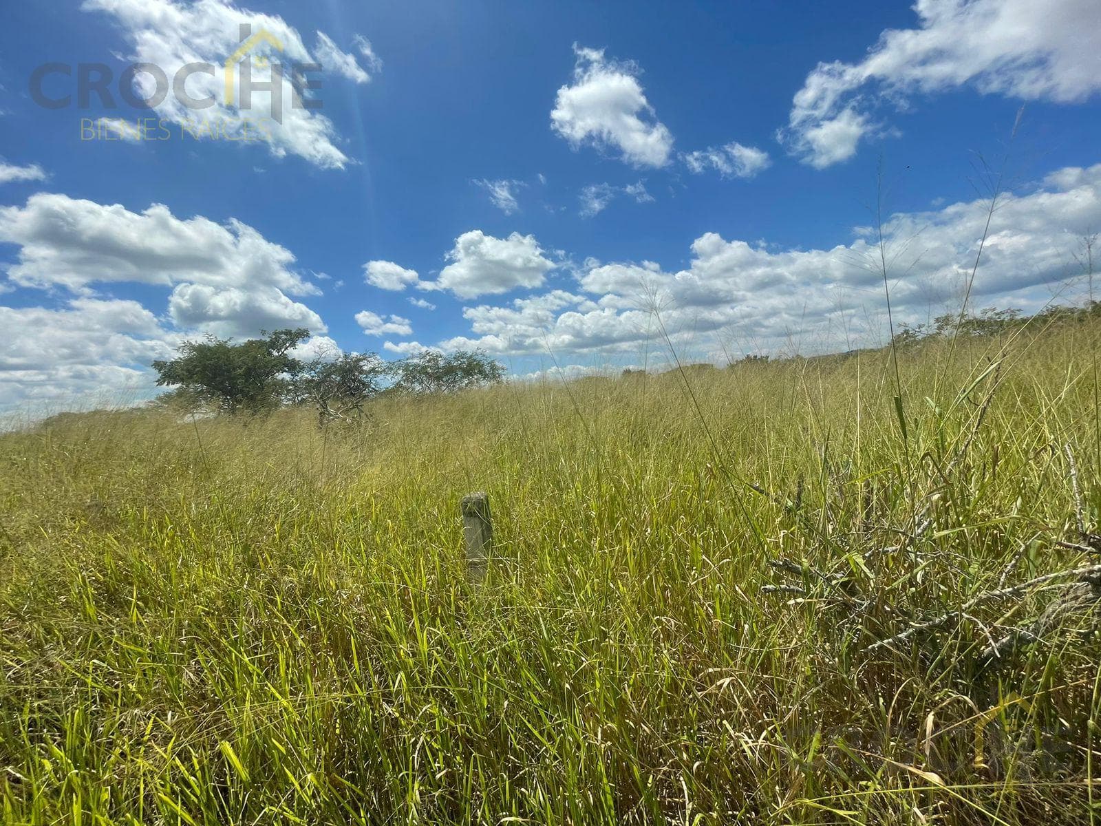 Land for Sale in 2 Ríos, Emiliano Zapata, Veracruz.