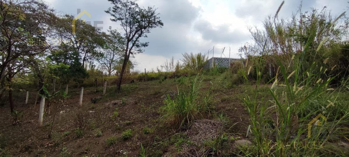 Land for Sale in Lencero—See the Bodegas Liverpool 1 Area 1