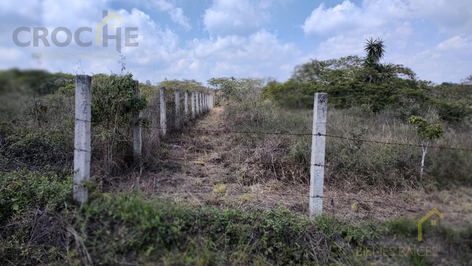 Land in Land for sale in El Chico, Emiliano Zapata municipality