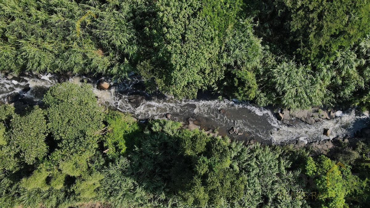 5.8 hectares for sale in the San Juan area, below the castle, 20 minutes from Xalapa. View