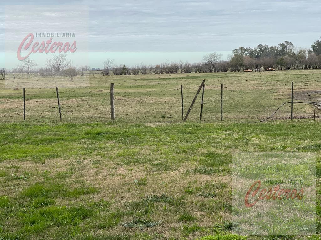6-ha farm, 1 hectare, at the end of Penna Street, "Chacras El Camino"