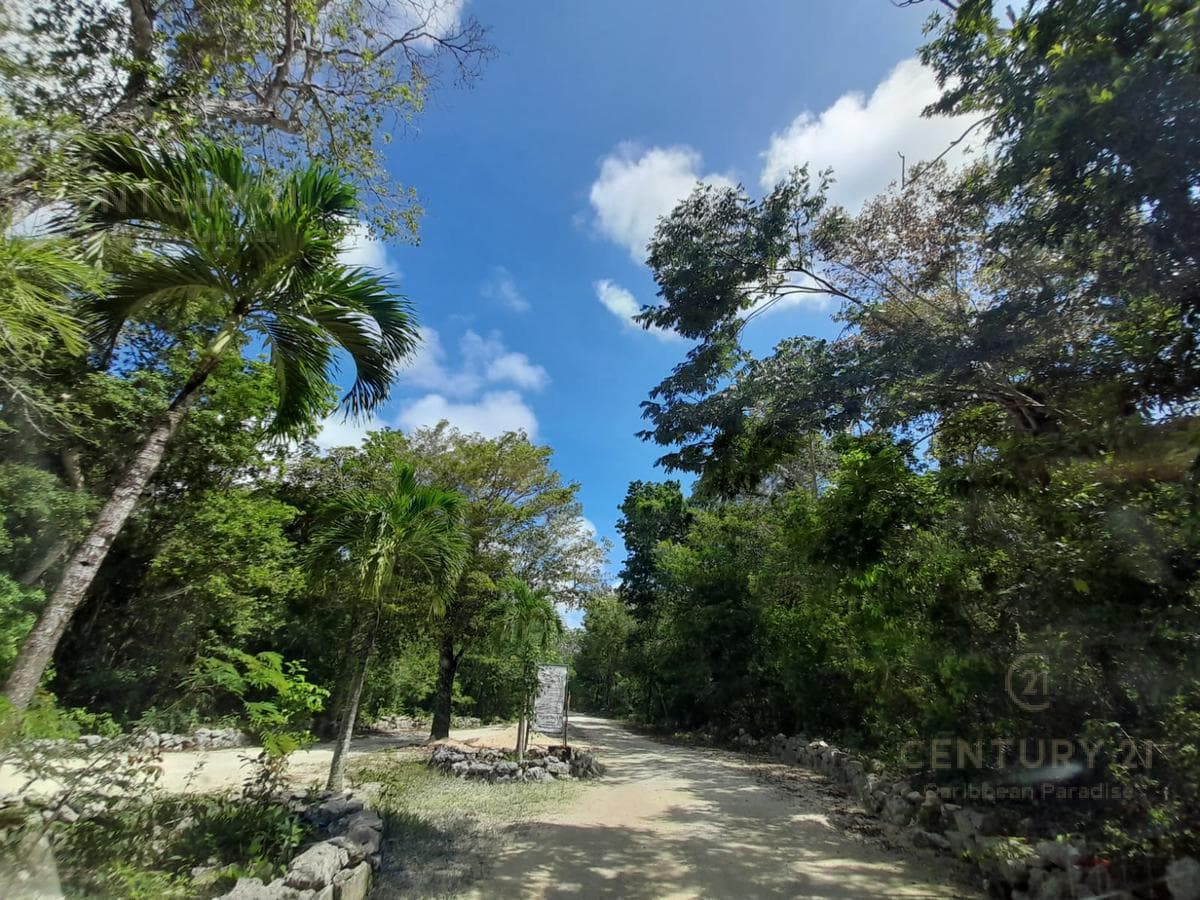 Residential Lot for Sale in Aldea Coral Chemuyil | Ideal for Investment | P3911
